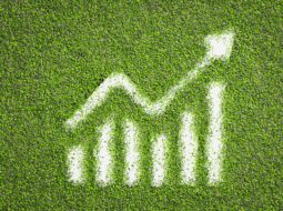 Sustainable Growth