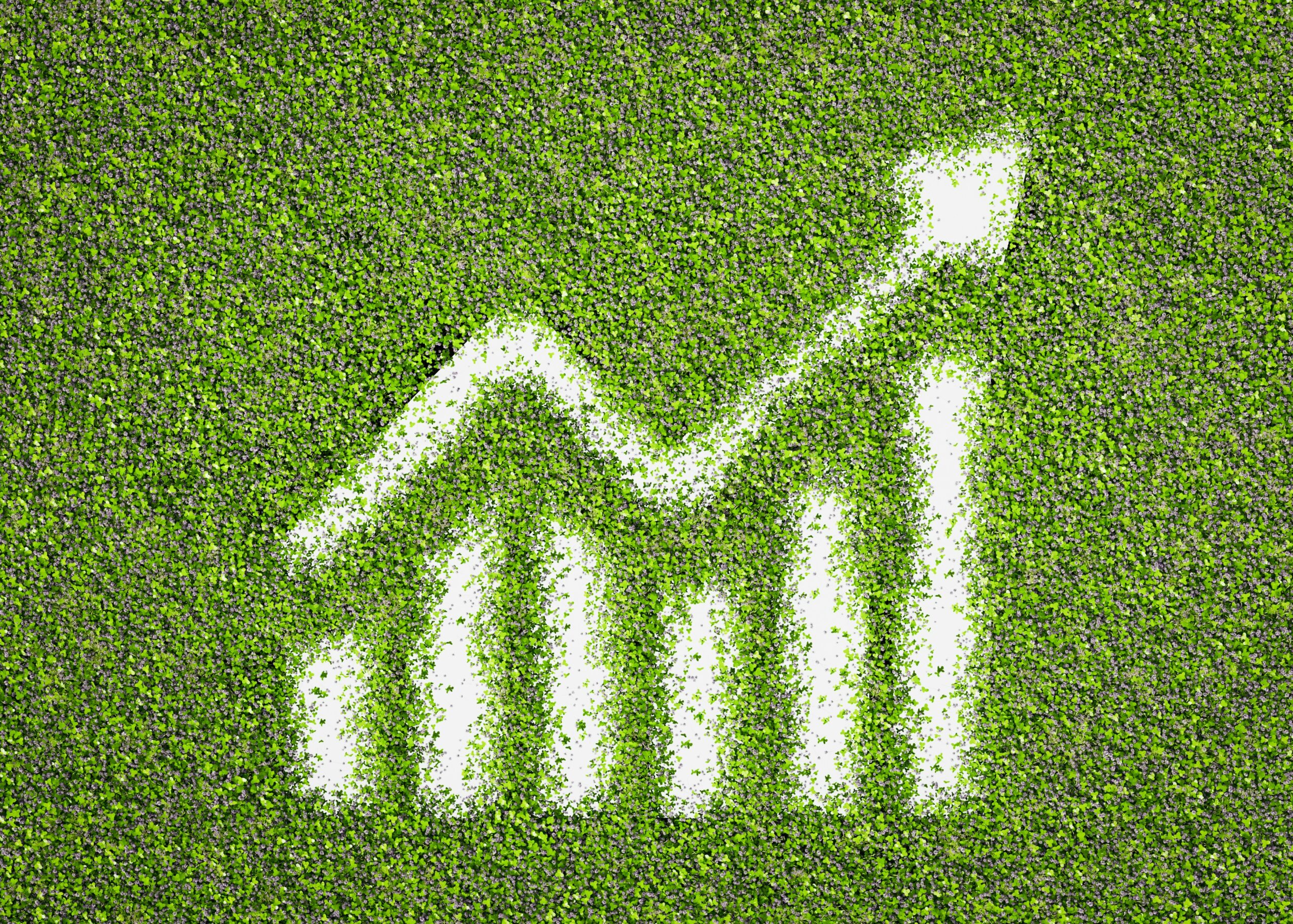 Sustainable Growth
